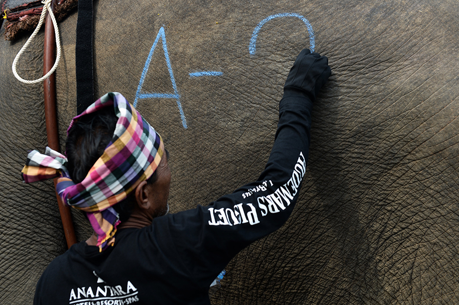 AFP/Lillian Suwanrumpha