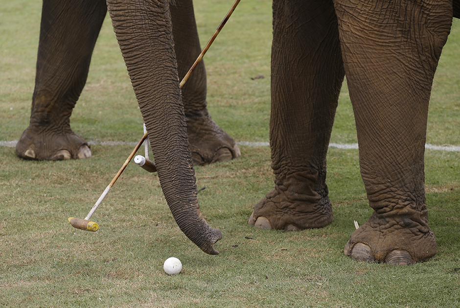 Tanjug/AP/Mark Baker