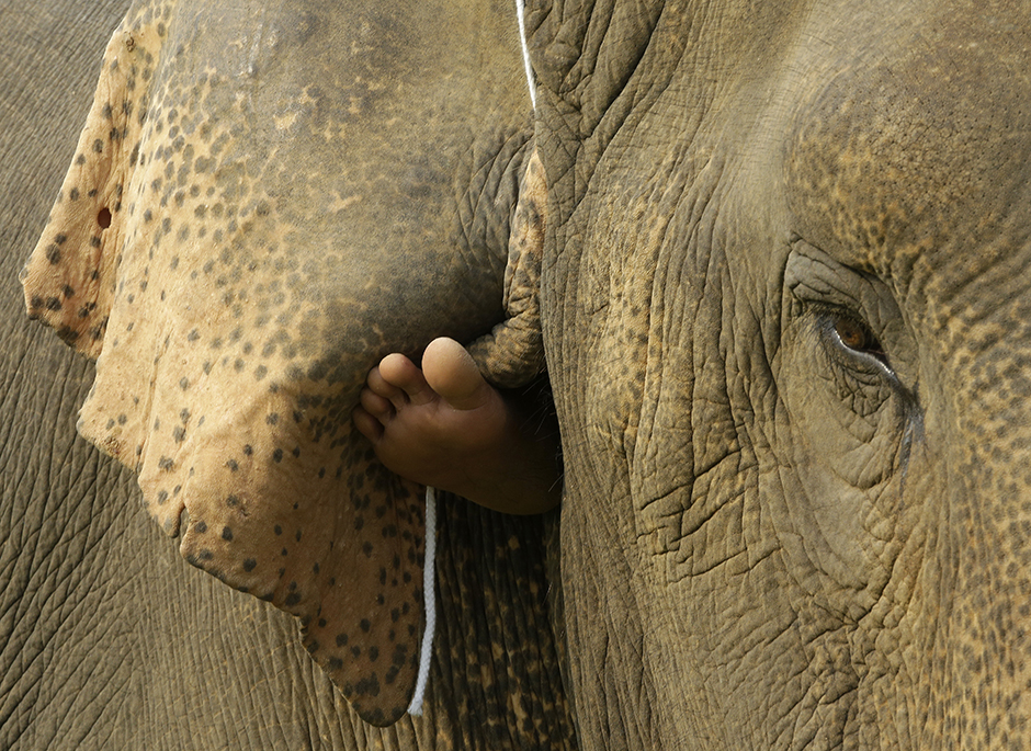 Tanjug/AP/Mark Baker