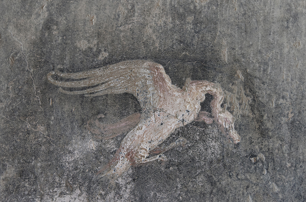 PIXSELL/Davor Višnjić