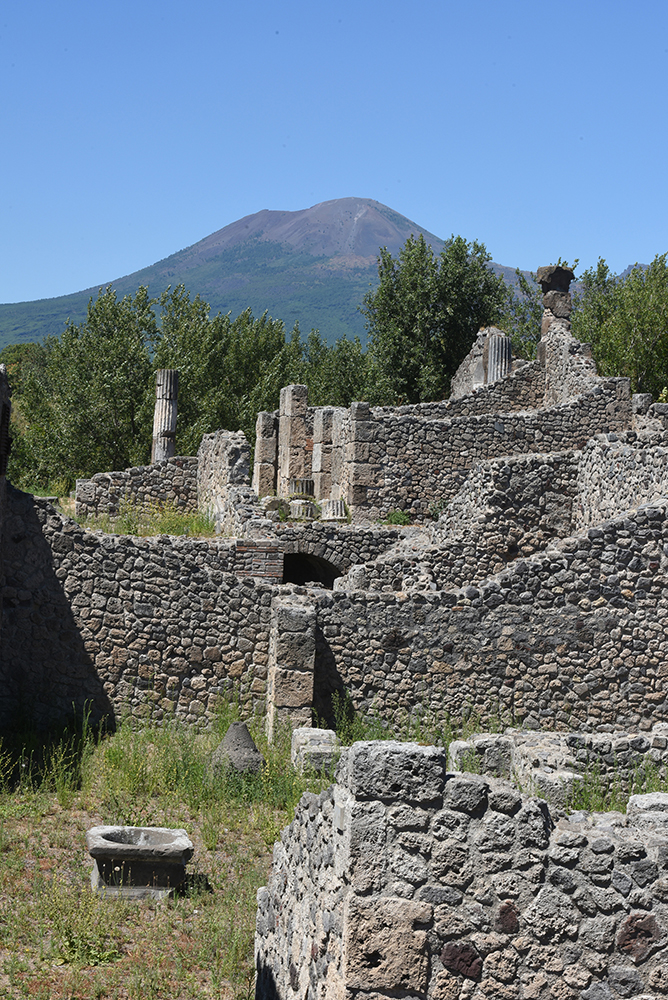 PIXSELL/Davor Višnjić