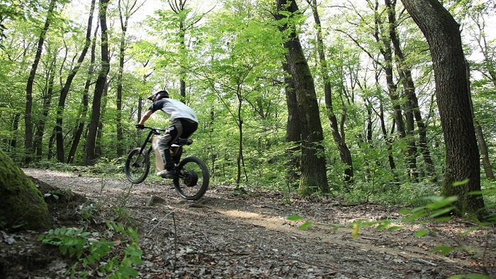 poster Greyp bicikli promo