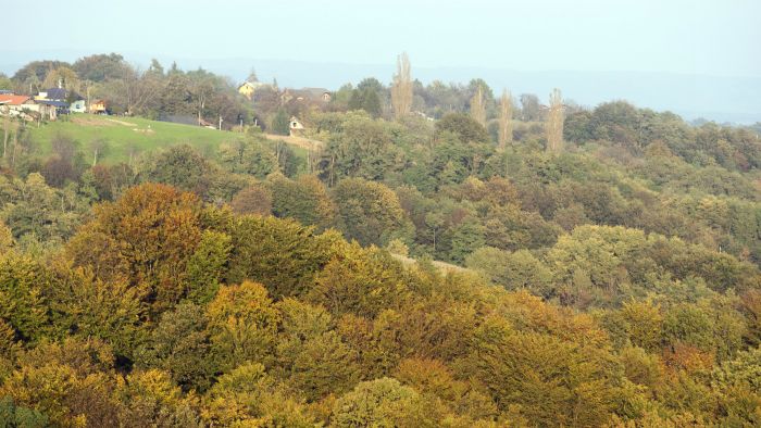 poster ZeljkoHajdinjak_medjimurje_jesen7-121014