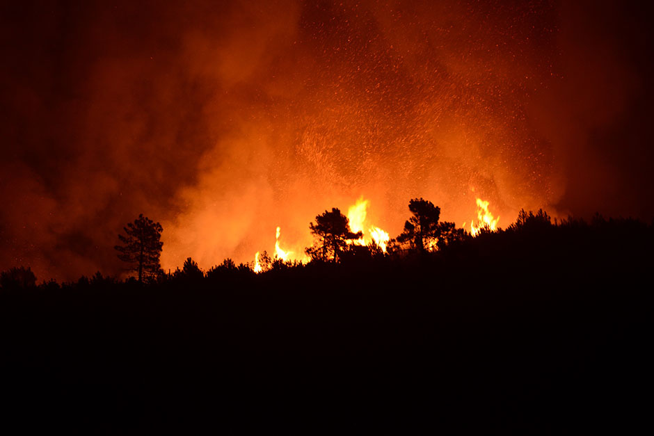 Cropix/Tonči Plazibat