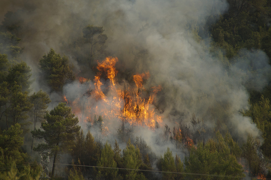 CROPIX/Anđela Šćepanović