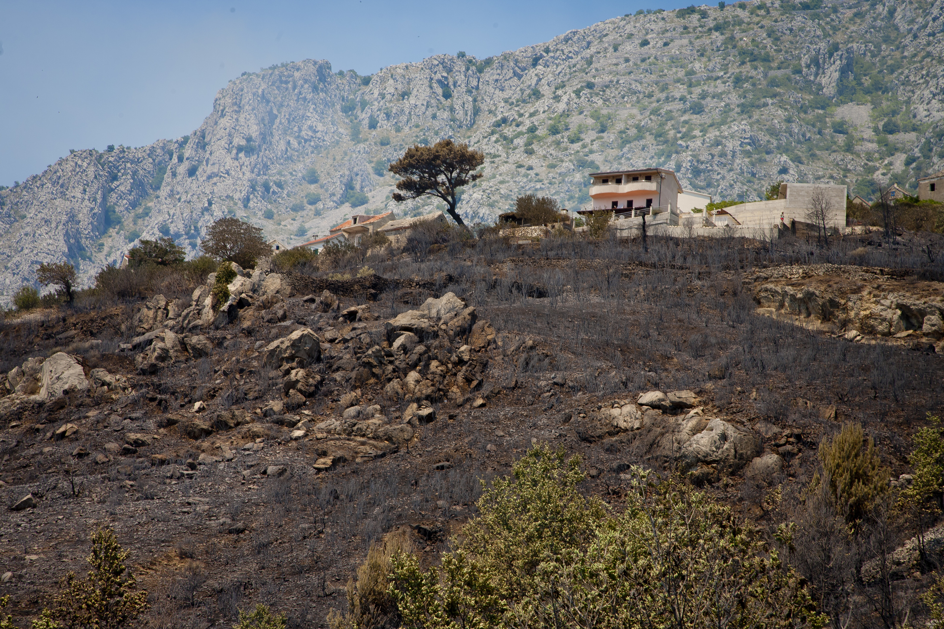 Vojko Basic / CROPIX