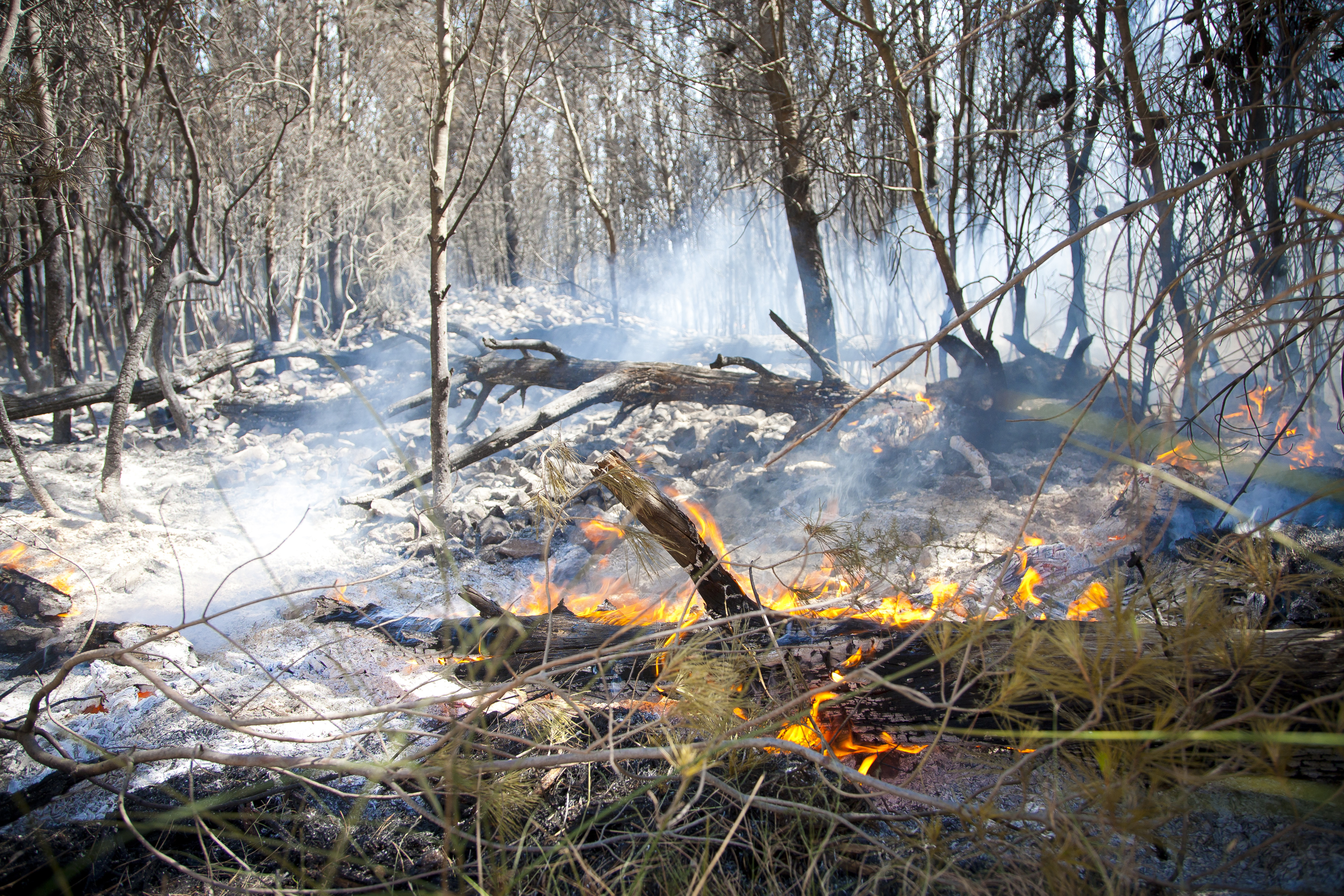 Vojko Basic / CROPIX