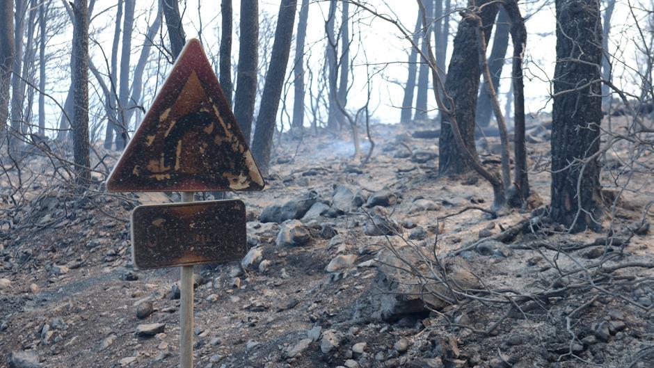 Tonci Plazibat / CROPIX