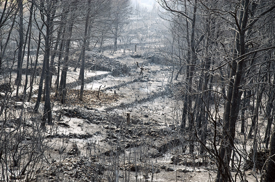 CROPIX/Denis Jerković