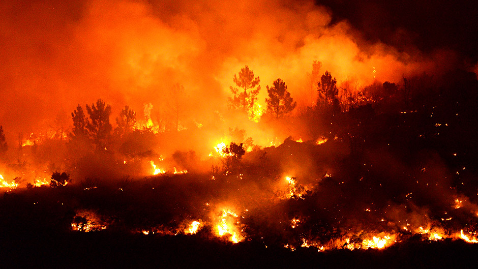 Cropix/Tonči Plazibat