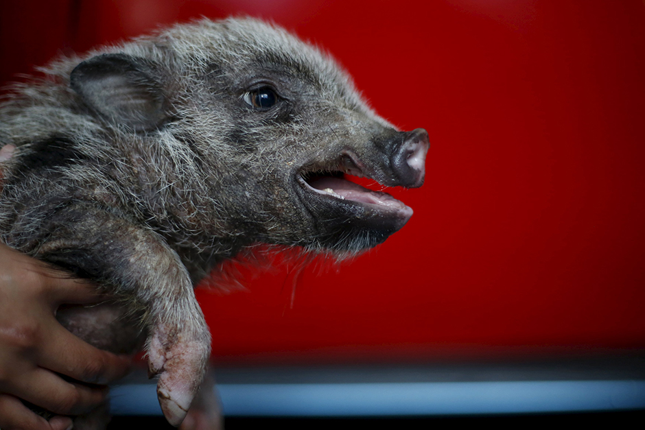 REUTERS/Edgard Garrido