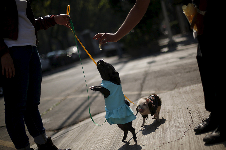 REUTERS/Edgard Garrido