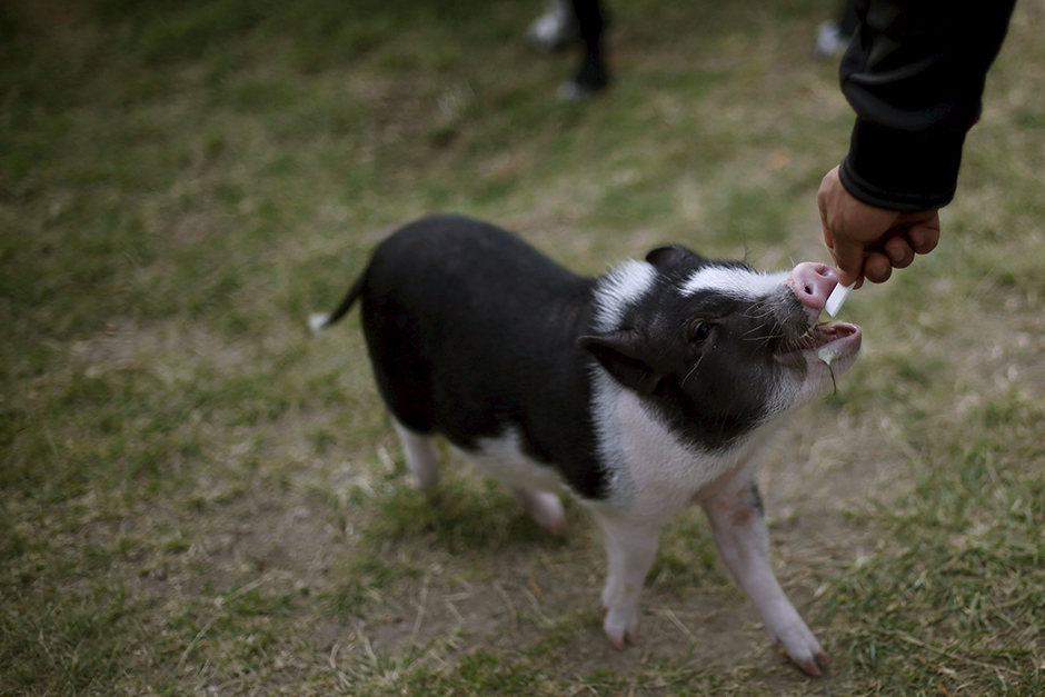 REUTERS/Edgard Garrido
