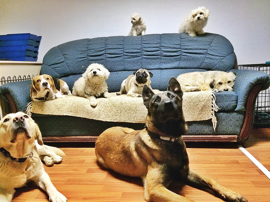 Anadolija/Erkin Keci