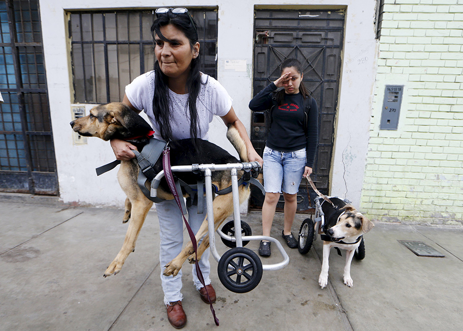 REUTERS/Mariana Bazo