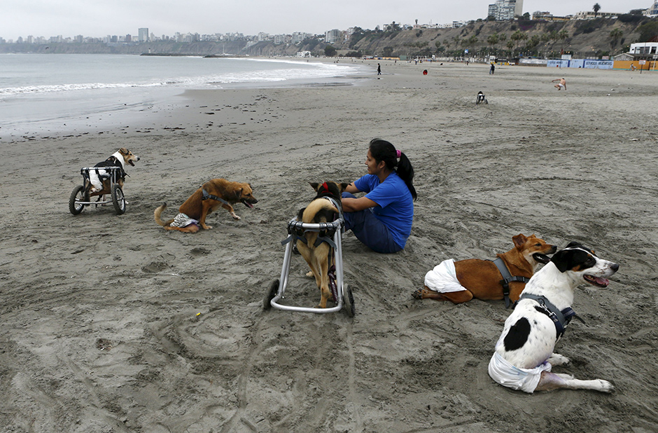 REUTERS/Mariana Bazo