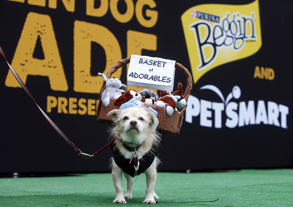 Tanjug/AP/Jason DeCrow