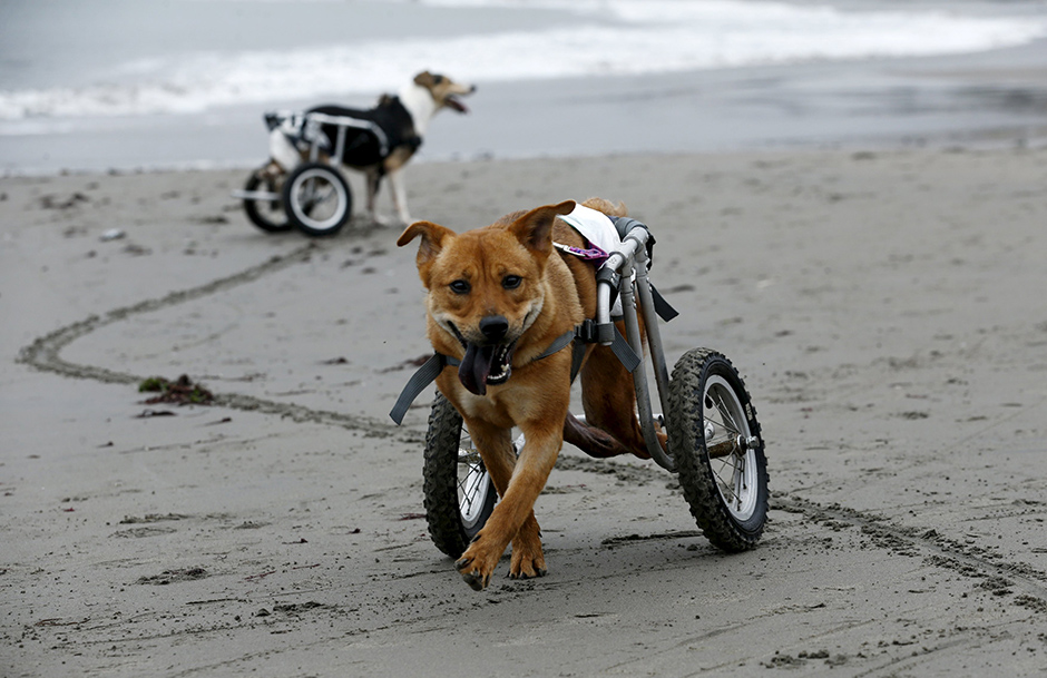 REUTERS/Mariana Bazo