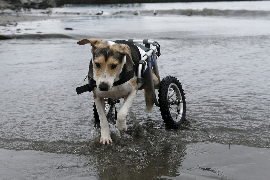 REUTERS/Mariana Bazo