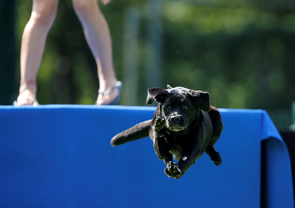 REUTERS/Srđan Živulović