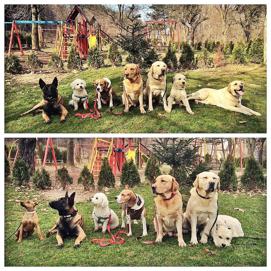 Anadolija/Erkin Keci