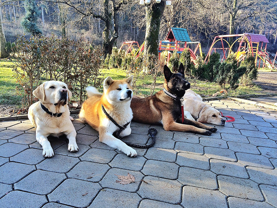 Anadolija/Erkin Keci