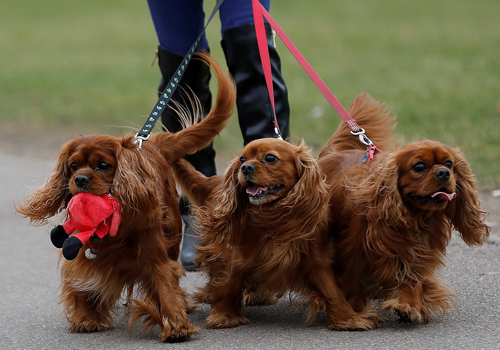 REUTERS/Darren Staples