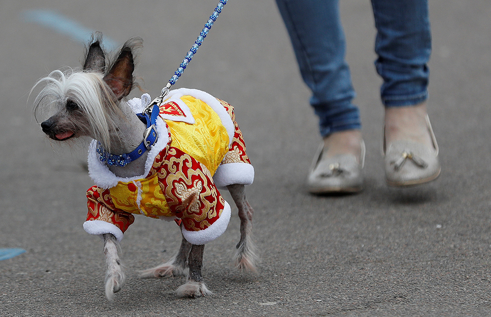 REUTERS/Darren Staples