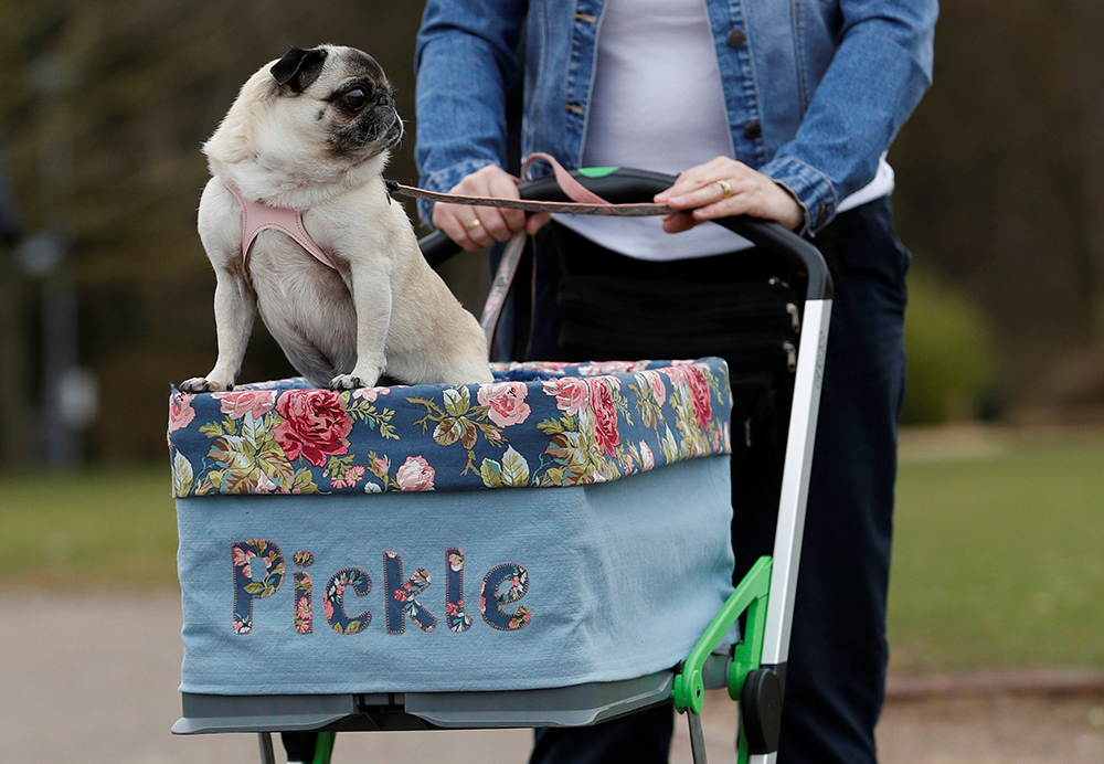 REUTERS/Darren Staples