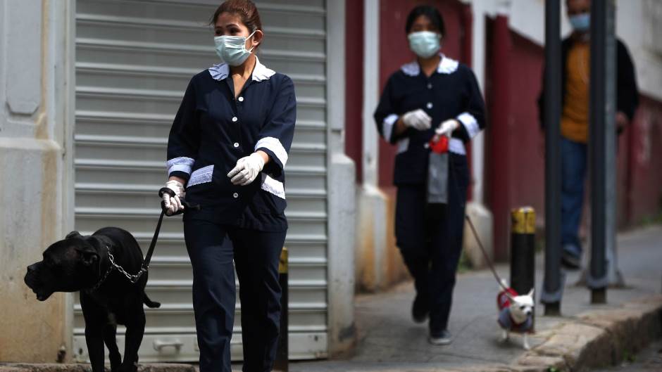 psi kućni ljubimci koronavirus