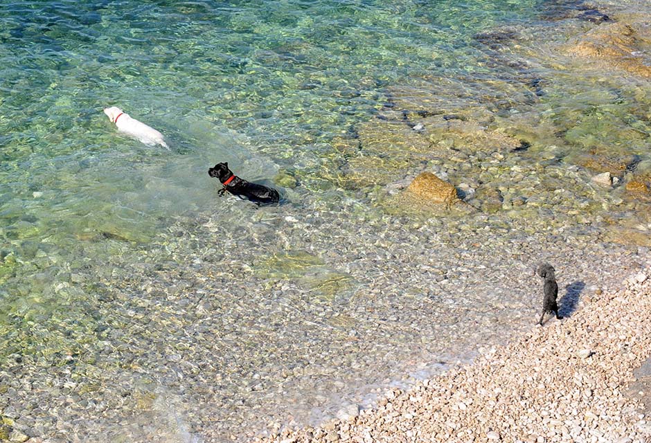 CROPIX/Vedran Karuza