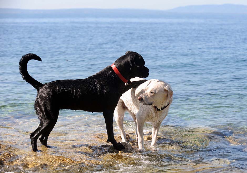 CROPIX/Vedran Karuza