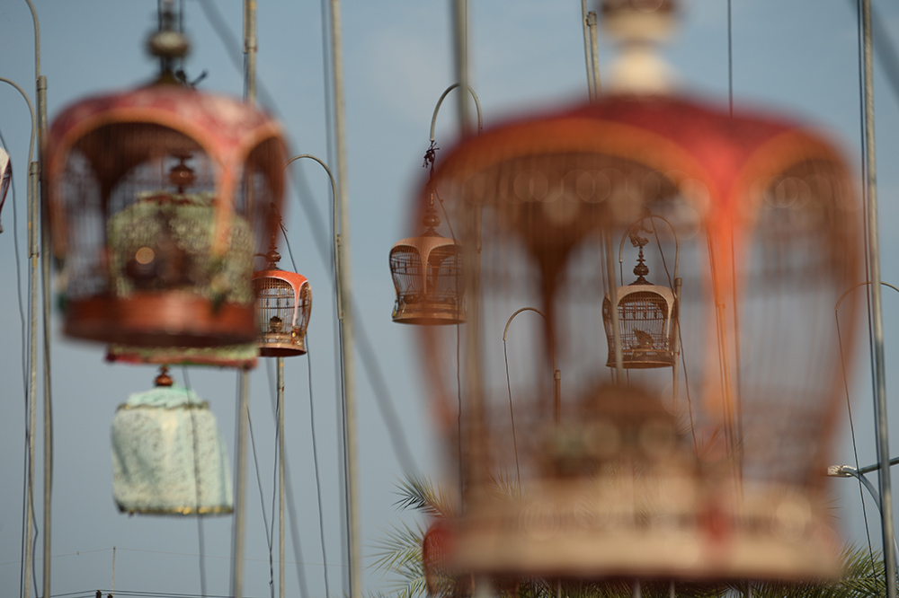 AFP/Madaree Toholala