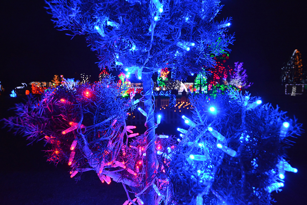 PIXSELL/Damir Spehar