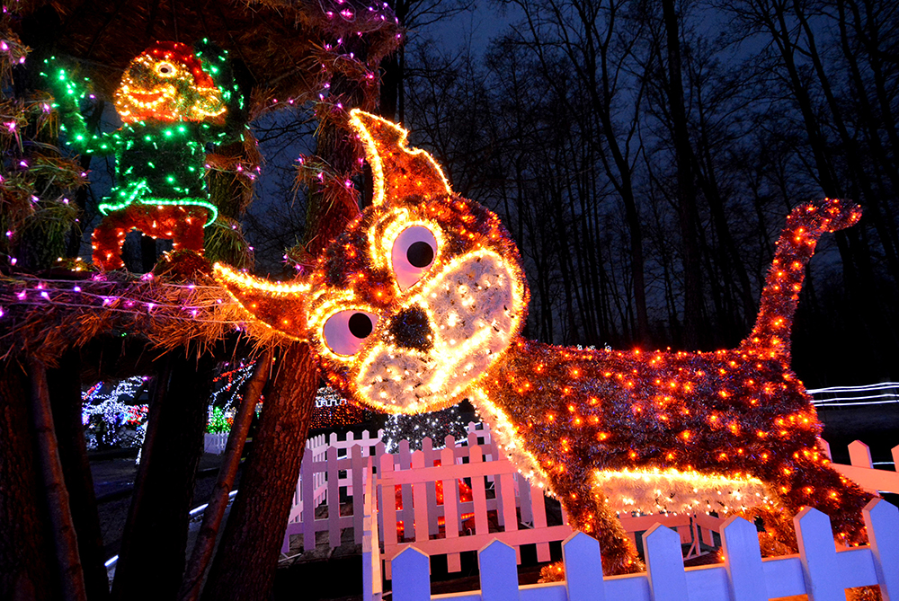 PIXSELL/Damir Spehar