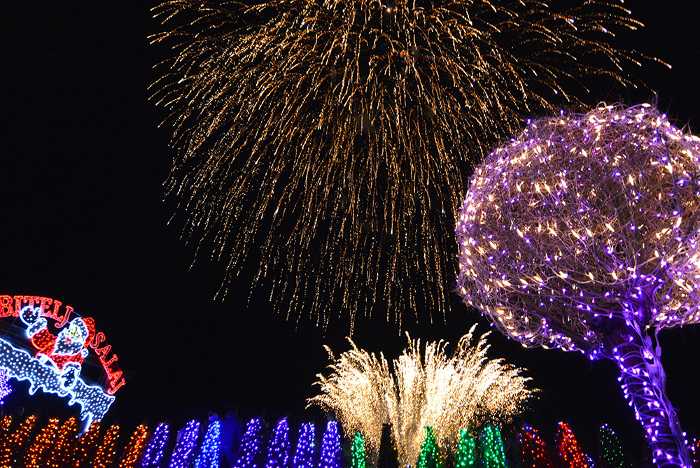 PIXSELL/Damir Spehar