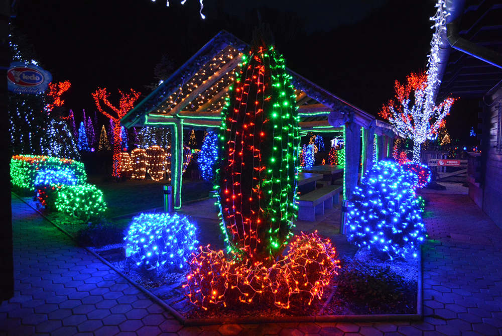 PIXSELL/Damir Spehar