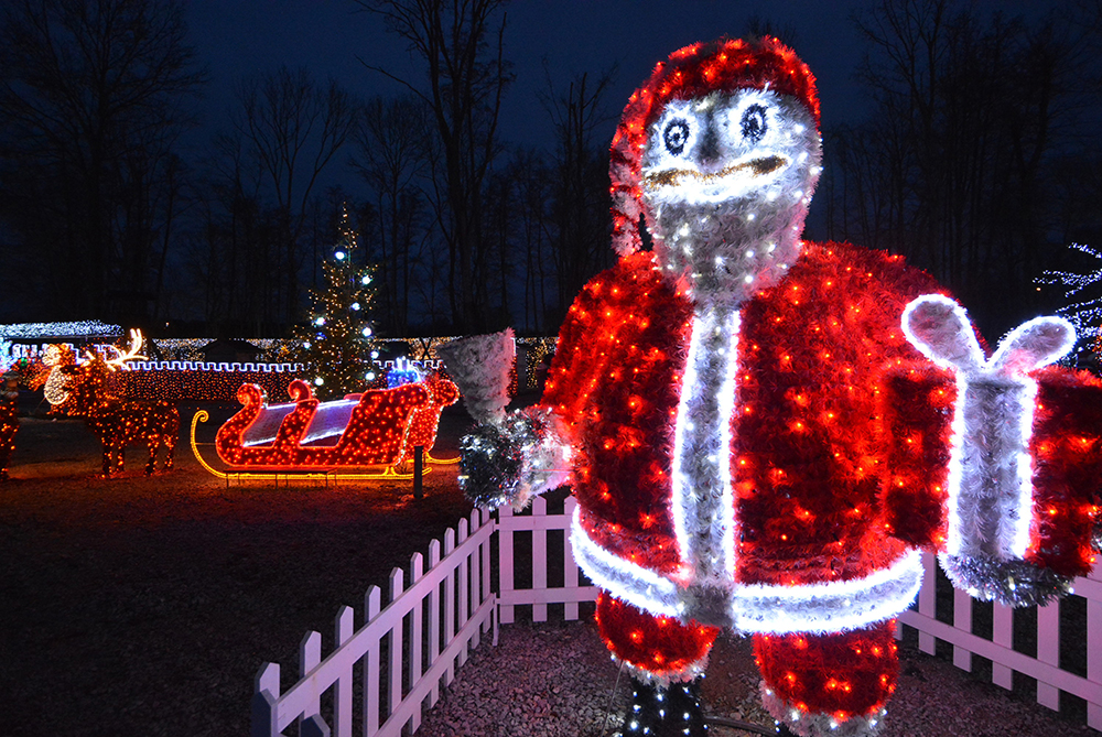 PIXSELL/Damir Spehar