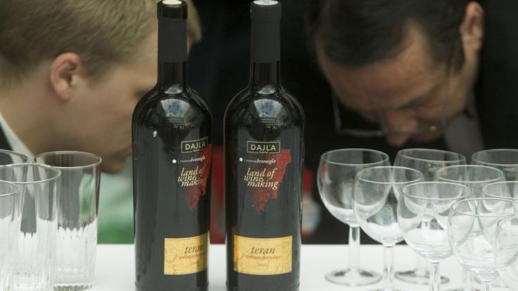 PXL_030713_6377023(1)