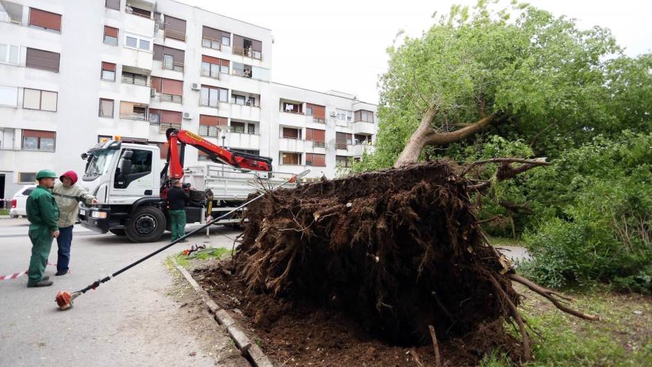 Kristina Stedul Fabac/PIXSELL