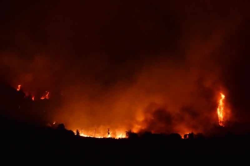 Hrvoje Jelavic/PIXSELL