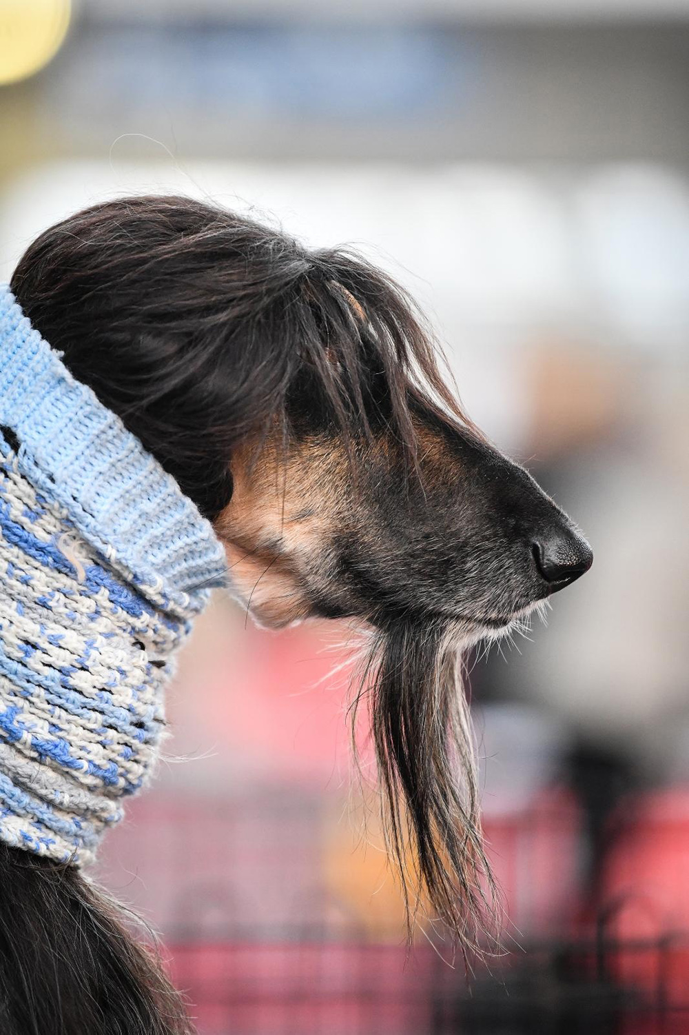 PIXSELL/Sandra Simunovic