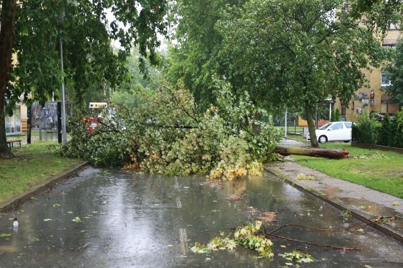 Davor Javorovic/PIXSELL