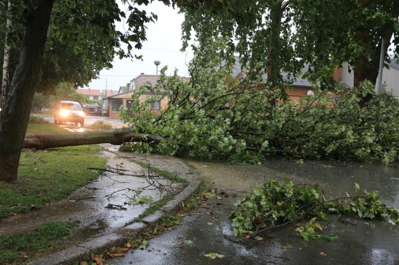 PXL_270616_13246811(1)