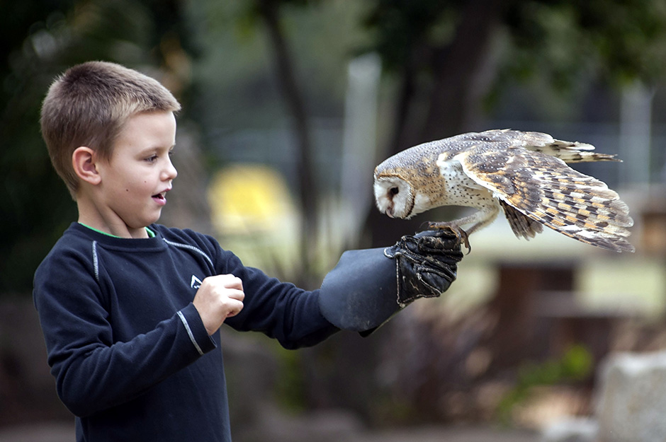 ANADOLIJA/Ihsaan Haffejee