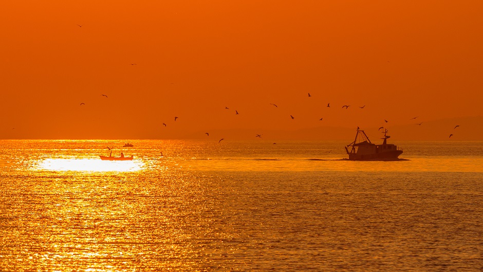 CROPIX/Zvonimir Barišin