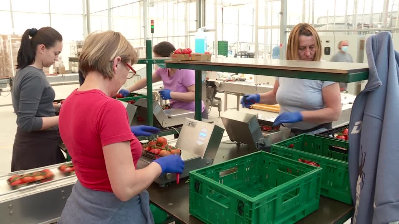 Reakcije poduzetnika na gospodarske mjere