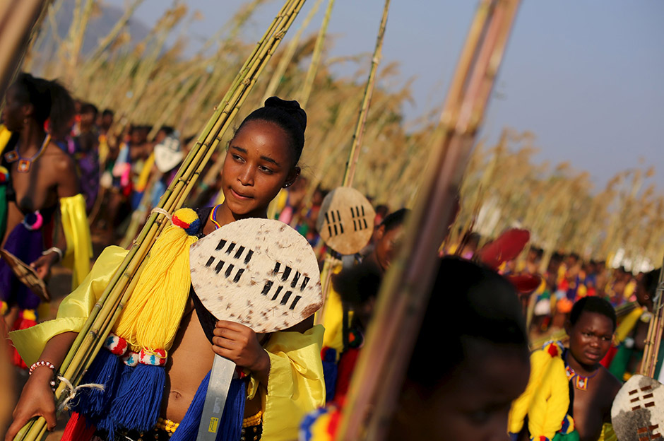 Reed Dance (5)
