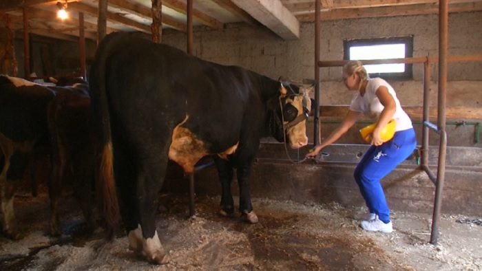 renata_pranjkovic_bik2_bikovi_reuters