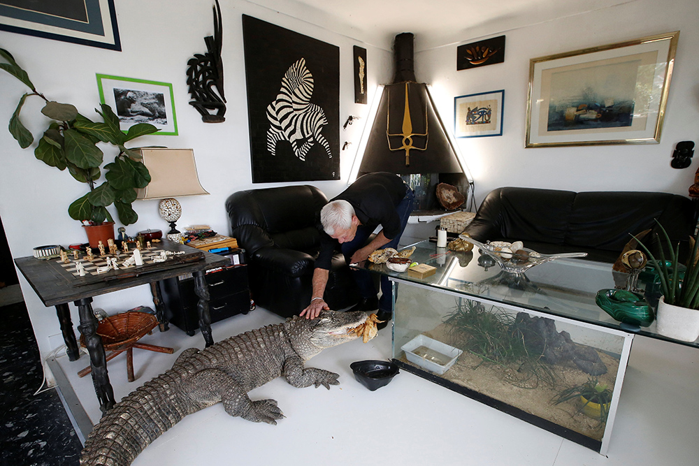 Reptili foto Reuters Stephane Mahe (10)